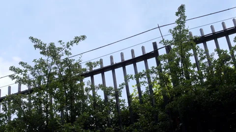 Security Fence with Barbed Wire Stock Footage 51544800