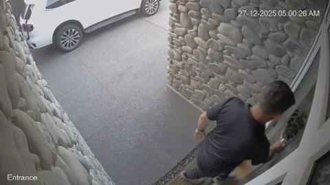 Security Footage of a Cat Chasing a Bird, Christchurch, New Zealand - 26 Dec 202 Stock Footage 327232757