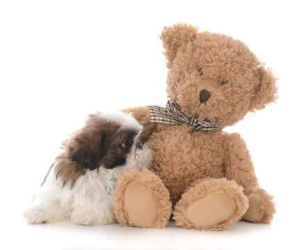 Security with a friend Stock Photos