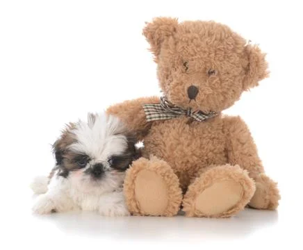 Security with a friend Foto stock