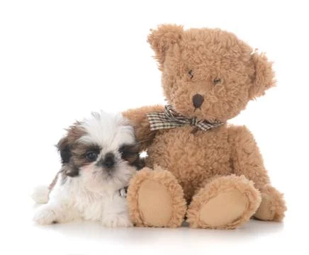 Security with a friend Stock Photos