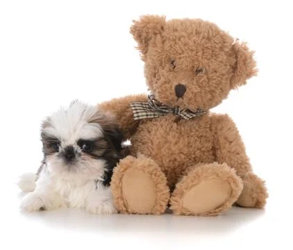 Security with a friend Stock Photos