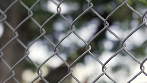 Security gate fence metal patterns close-up Stock Footage 154831051
