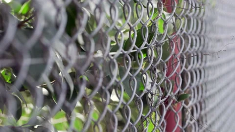 Security gate fence metal patterns close-up Stock Footage 154831072