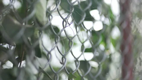 Security gate fence metal patterns close-up Stock Footage 154831210