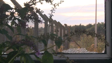 Security gates at abandoned USAF base Stock Footage 98085404