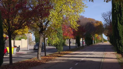 Security guard patrolling an autumn tree lined street 스톡 동영상 322181535