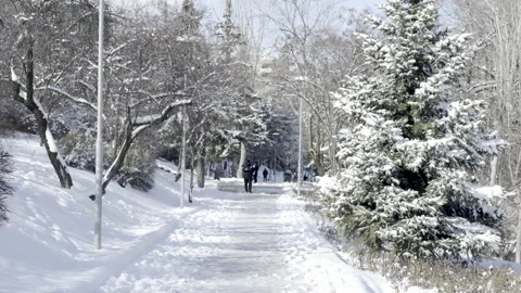 Security guard walking on snow in a park Stock Footage 166699655