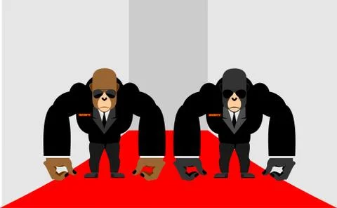 Security Guards of a gorilla. Big Bodyguards Primates in costumes. Vector ill Stock Illustration