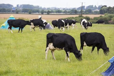 A security guards tent, guarding a fracking site at a farm site at Little Plu Stock Photos