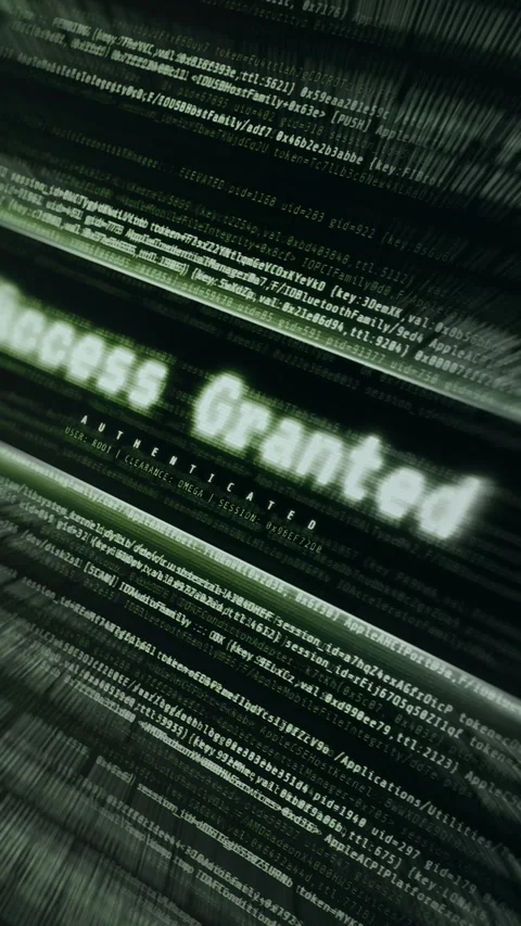 Security interface displaying ACCESS GRANTED popup over digital code matrix Stock-Footage 335872368