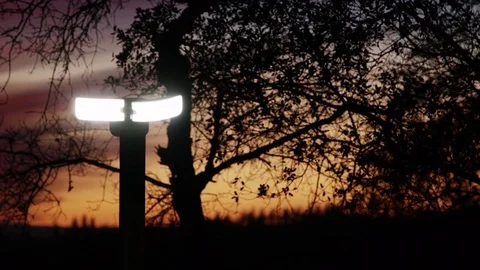 Security Lamp At Sunset In Woods 1 Stock Footage 84401186