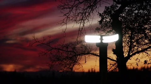 Security Lamp At Sunset In Woods 2 Stock Footage 84401635