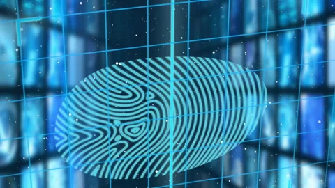 Security padlock and biometric fingerprint scanner over grid network against Stock Footage 312384474