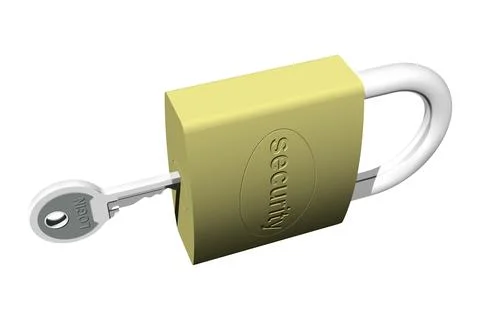 Security Padlock with Login Key Stock-Illustration