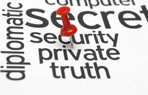 Security private truth イラスト素材