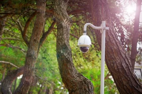 Security round camera in park with blur background Stock Photos
