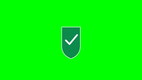 Security Shield Checkmark Animated Cybersecurity Technology Motion Graphic Stock Footage 341253304