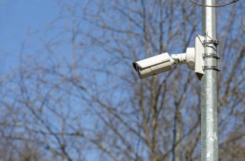 Security surveillance camera near forest. Security. Safe life concept. Stock Photos