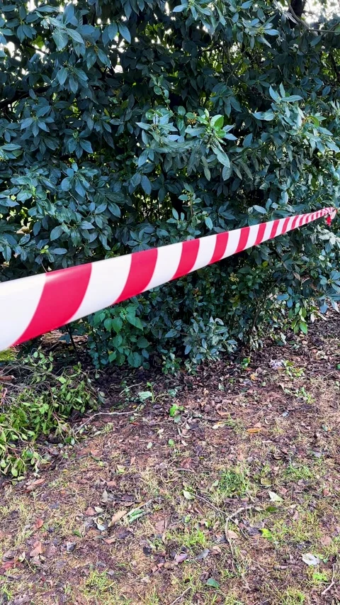 Security tape in the park Stock Footage 254737466