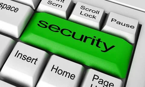 Security word on keyboard button 스톡 일러스트