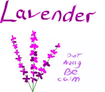 Sedative lavender 库存插图