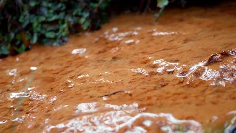 Sediment with iron bacteria2 Stock Footage 126285207