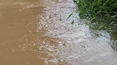 Sediment laden irrigation stream near farmland. Stock Footage 329596208