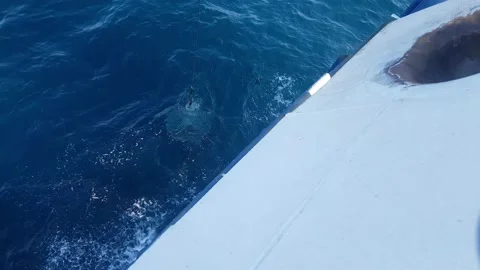 Sediment sampling multicorer Stock Footage 138752574