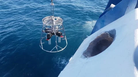 Sediment sampling multicorer Видео 138752618