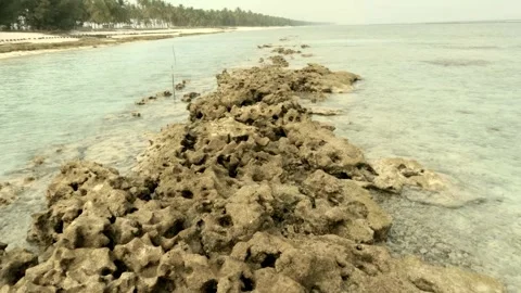Sedimentary beach rock parallel to the shore Stock Footage 257665286