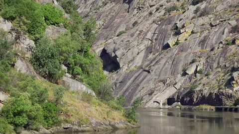 Sedimentary rocks line the Douro River, Portugal Stock-Footage 312248243