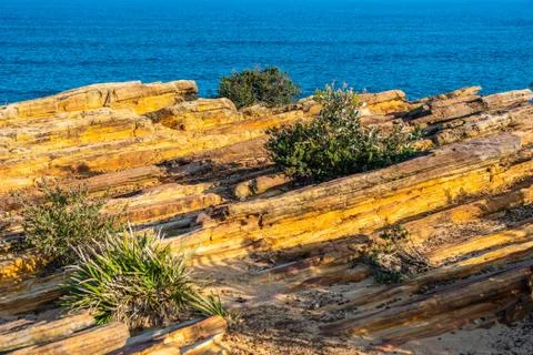 Sedimentary rocks near Coogee Beach, Sydney NSW Australia Stock Photos