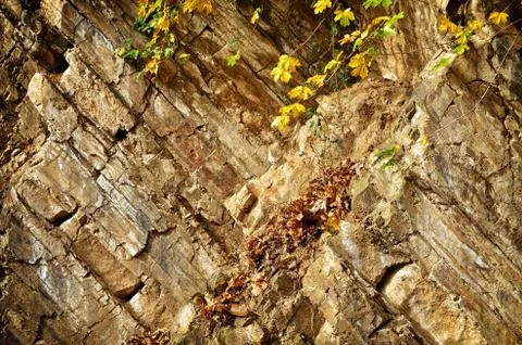 Sedimentary rocks Stock Photos