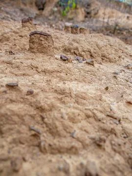 Sedimented mud from the soil eroded by water, in La Candelaria desert, in the Stock Photos