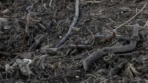 Sediments on a River Mouth Stock Footage 97837278