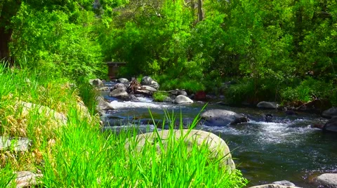 Sedona Arizona Stream Video stock 62934473