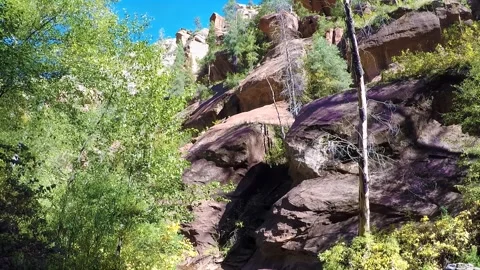 Sedona Arizona- West Fork Trail-Rocky Forested Hillside Stockbeeldmateriaal 312364727