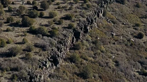 Sedona Fly-Over Trees Video stock 126829107