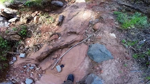 Sedona Mountain View Hike Stock Footage 48913744
