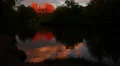 Sedona Timelapse 04 Cathedral Rock Reflections on River Sunset HD Footage