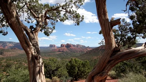 Sedona View #1 Stock Footage 87803734