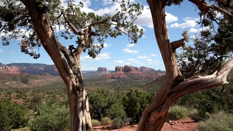 Sedona View #2 Stock Footage 87804083