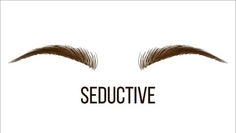 Seductive Thin Vector Hand Drawn Brows Shape イラスト素材