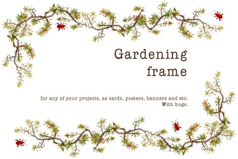 Sedum succulent plants watercolor rectangular frame in retro style, hand pain Stock Illustration