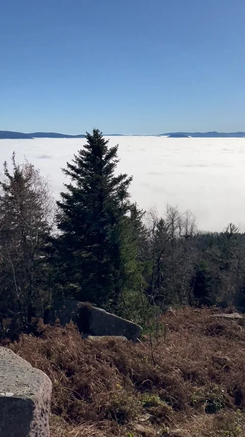 Top See Stock Videos RoyaltyFree HD