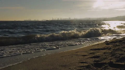 See Stock Footage 170645469