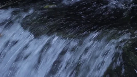 See nature of borneo 動画素材 75298372
