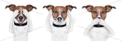 See no evil, hear no evil, speak no evil Stock Illustration
