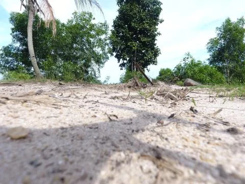 See the position of the subgrade Foto stock